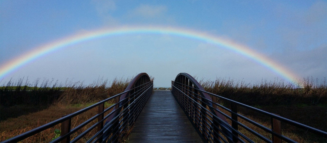 
			
RAINBOWS - A SYMBOL OF HOPE
			
		